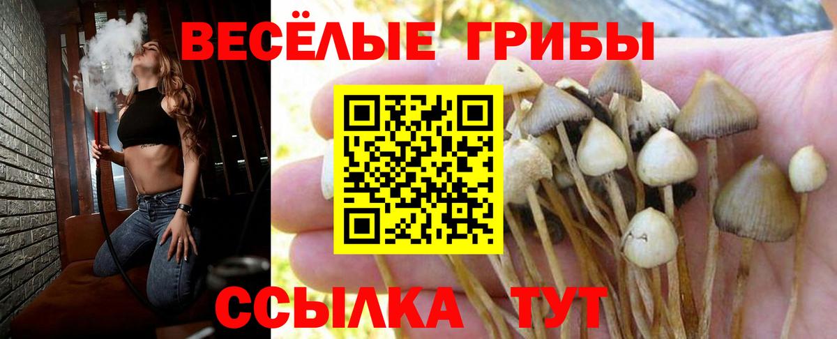 Галлюциногенные грибы прущие грибы  Галлюциногенные грибы мицелий  Вход с VPN  Можга 